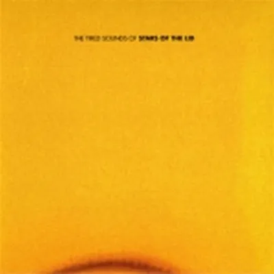  Stars of the Lid - The Tired Sounds of Stars of the Lid – 잔잔한 드론과 포근한 메아리로 이루어진 우주